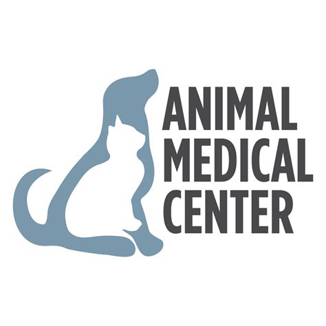 Animal Medical Center talks signs and symptoms to watch out for during Christmas